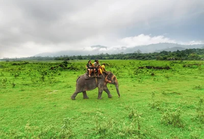 Kaziranga National Park - Photo 2