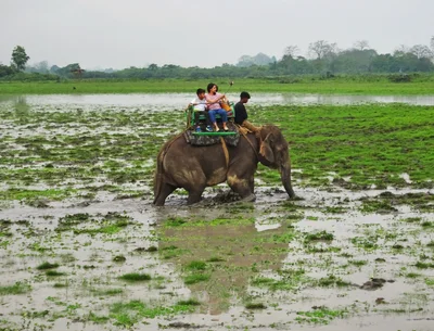 Kaziranga National Park - Photo 3