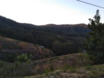 Korora - Photo 2