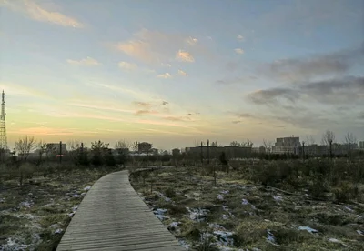 Alxa League - Photo 3