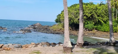 Port Douglas - Photo 3