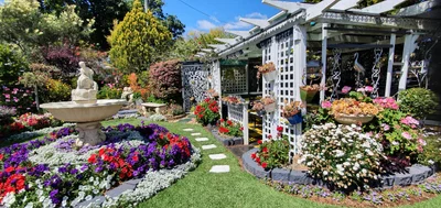Toowoomba - Photo 2