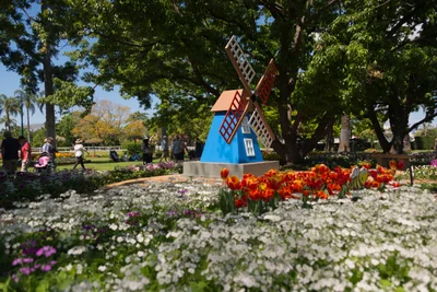 Toowoomba - Photo 4