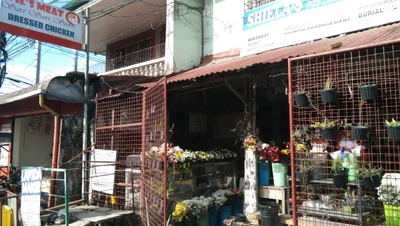 Daet - Photo 3