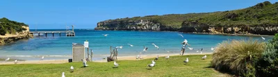 Port Campbell - Photo 5