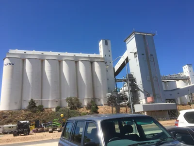 Wallaroo - Photo 3