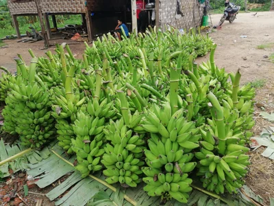 Lancang County - Photo 3