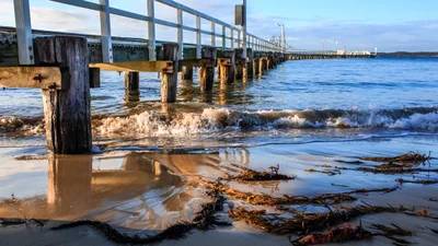 Queenscliff - Photo 4