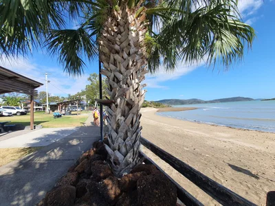 Cannonvale - Photo 4