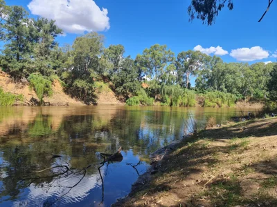 Dubbo - Photo 4