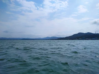 San Vicente - Photo 5