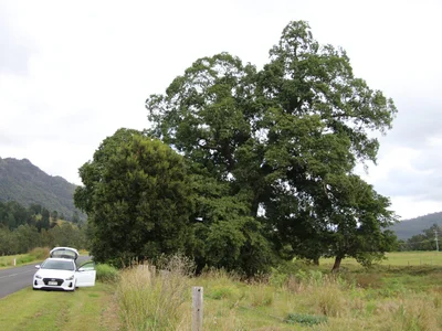 Eungella - Photo 5