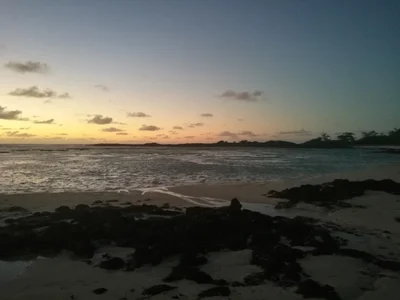 Palmar - Photo 2