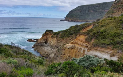 Tasman - Photo 2