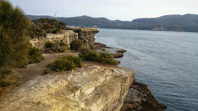 Tasman - Photo 3