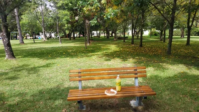 Colonia Valdense - Photo 2