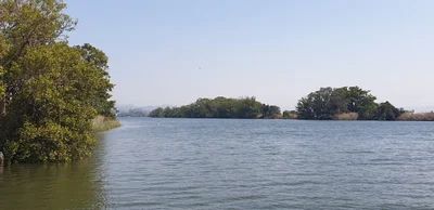 Tumbulgum - Photo 2