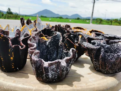 Calauan - Photo 2