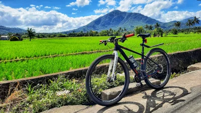 Calauan - Photo 3