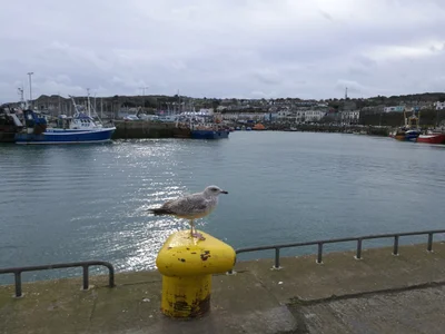 Howth - Photo 2
