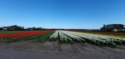 Noordwijk - Photo 5
