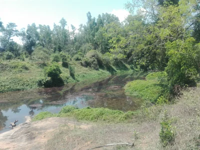 Meppadi - Photo 2