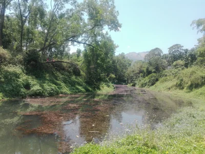 Meppadi - Photo 3