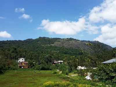 Meppadi - Photo 5