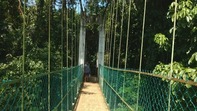 Tabasco - Photo 2