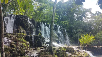 Tabasco - Photo 5