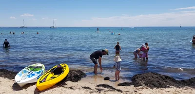 Portarlington - Photo 5