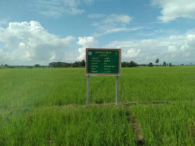 Yedashe Township - Photo 3