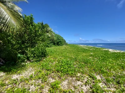Uoleva Island - Photo 3