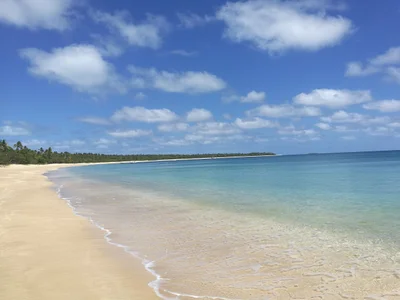 Uoleva Island - Photo 5