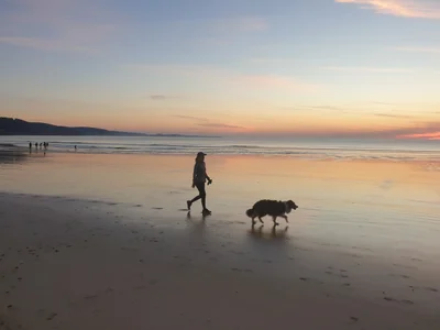 Lorne - Photo 3