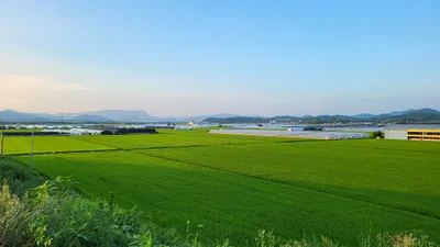 Damyang-gun - Photo 5