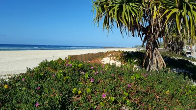 Kingscliff - Photo 4