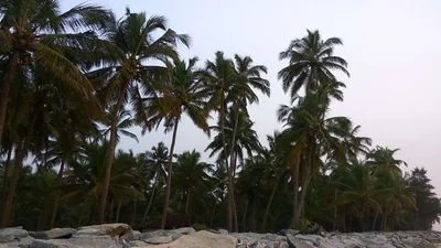 Saligrama - Photo 4