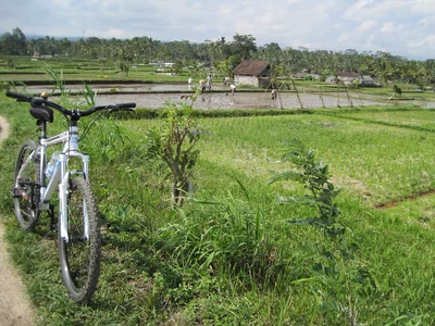 Kutuh - Photo 2