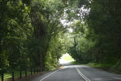 Mullumbimby - Photo 5
