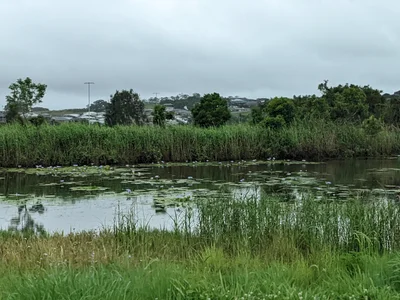 Ballina - Photo 3
