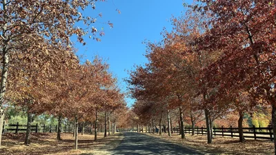 Macedon - Photo 2