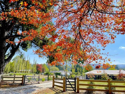 Macedon - Photo 4