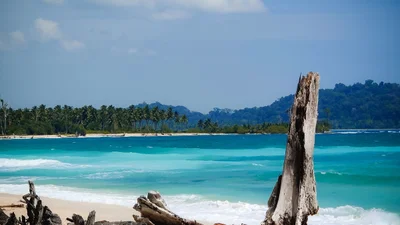 Great Nicobar Island - Photo 4