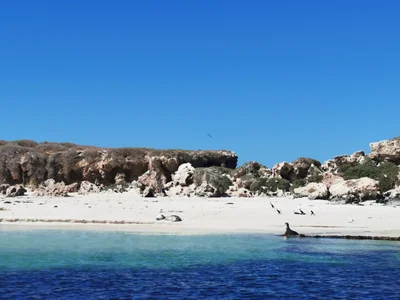 Jurien Bay - Photo 3