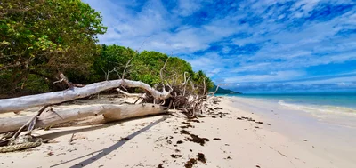 Grand Anse - Photo 5