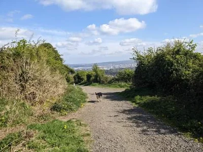 County Antrim - Photo 4