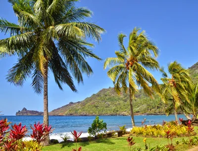 Nuku Hiva - Photo 4