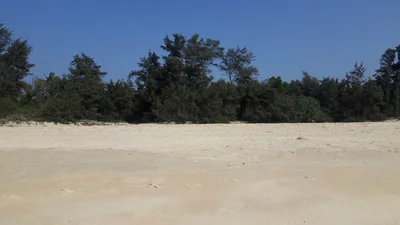 Cavelossim - Photo 4