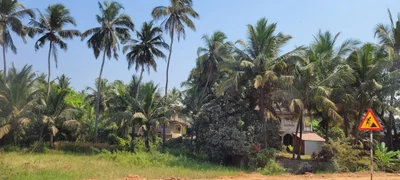 Dabolim - Photo 5